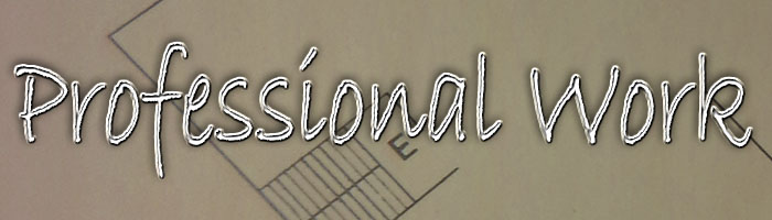 professional work